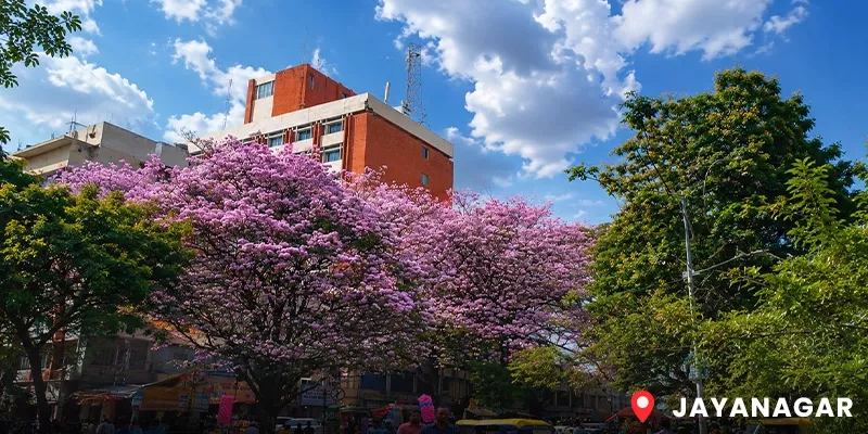 Jayanagar