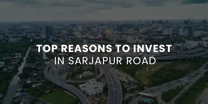 images/Blog%20Images/Residential%20Blog%20Images/Top%20Reasons%20to%20Invest%20in%20Sarjapur%20Road.webp#joomlaImage://local-images/Blog Images/Residential Blog Images/Top Reasons to Invest in Sarjapur Road.webp?width=800&height=400