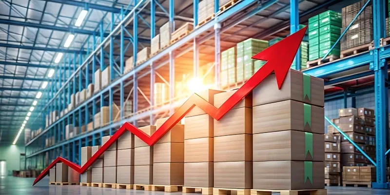  What's Driving Growth in the Narasapura Warehousing Market